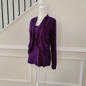 Beautiful Classic Willi Smith Sweater Sz-XL Purple